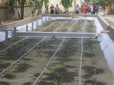 Vertical Flow basin for greywater treatment during start-up in COEP hostel in Pune. Source: ESF 2015